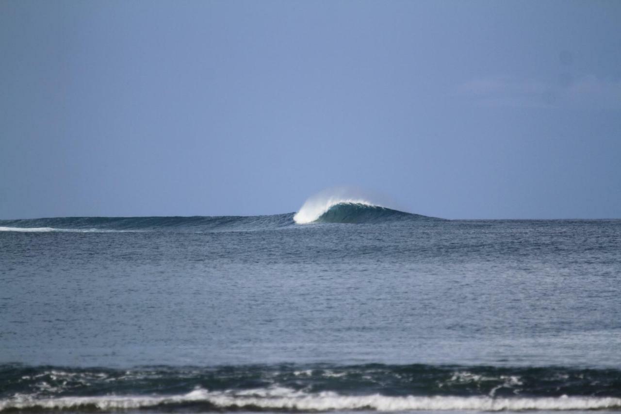 Oseda Nias Surf House Hotel Hilibotodane Екстериор снимка