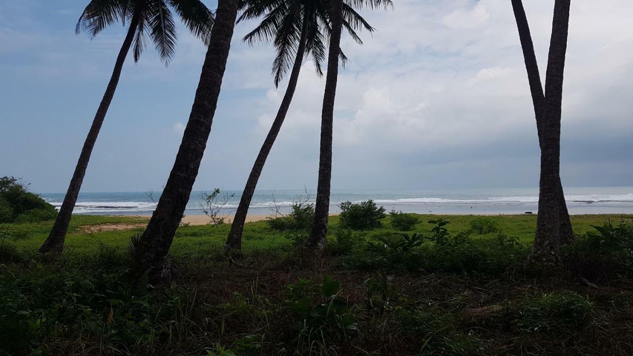 Oseda Nias Surf House Hotel Hilibotodane Екстериор снимка