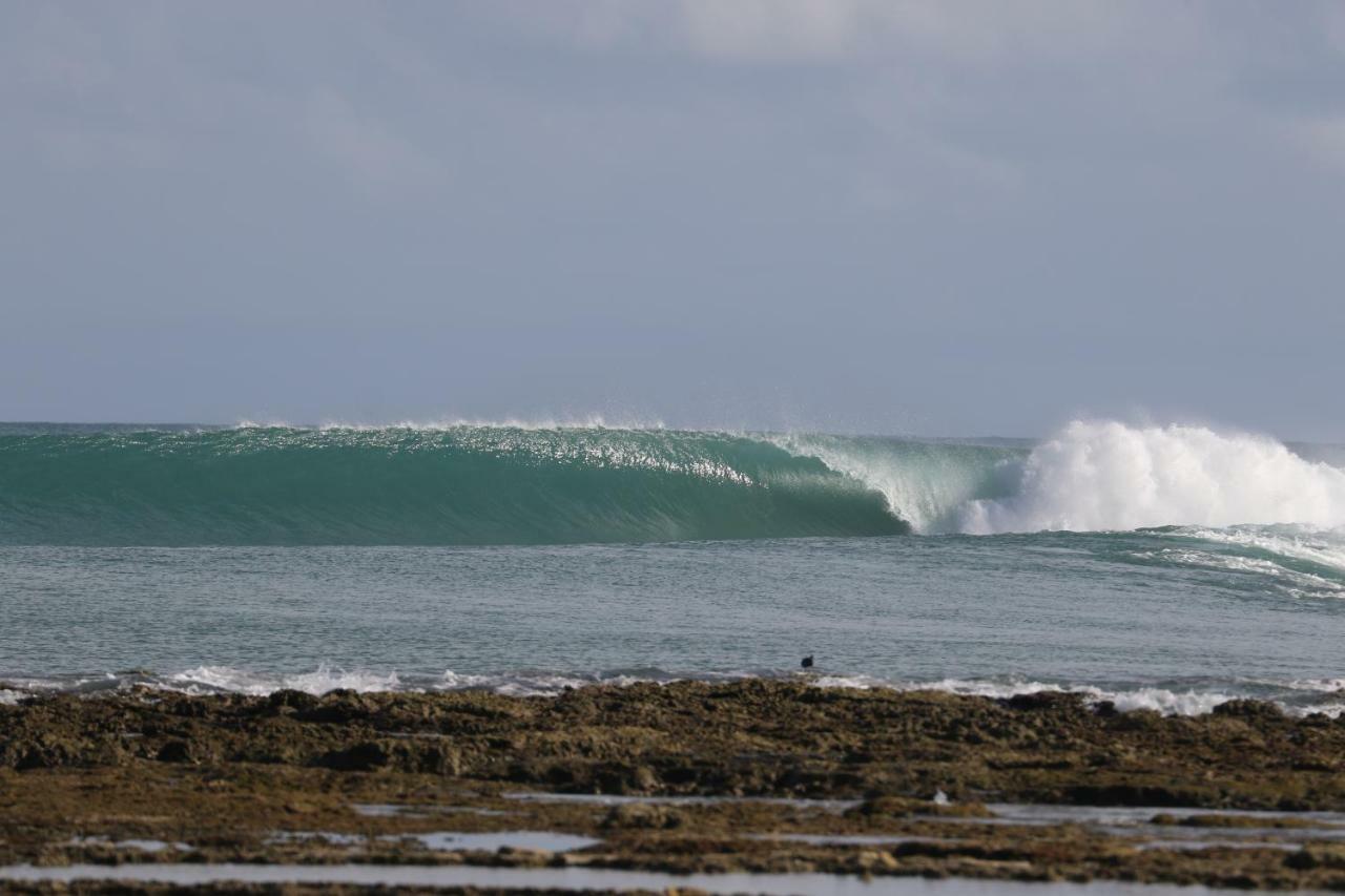 Oseda Nias Surf House Hotel Hilibotodane Екстериор снимка